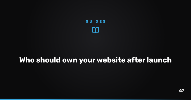 Who should own your website after launch